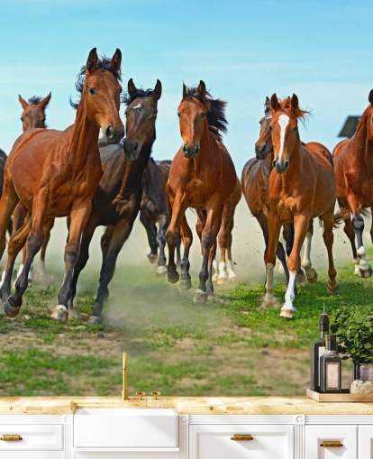 Mural Caballos marrones corriendo juntos