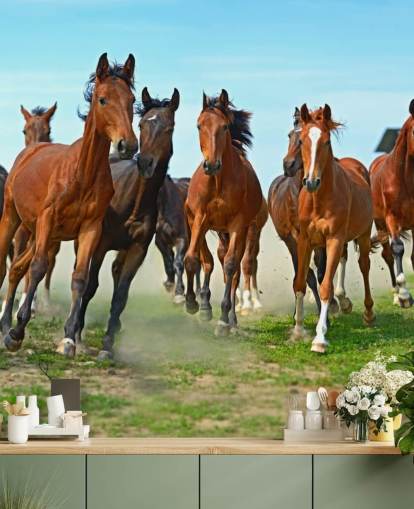 Brown Horses Running Together Mural Brown Horses Running Together Mural