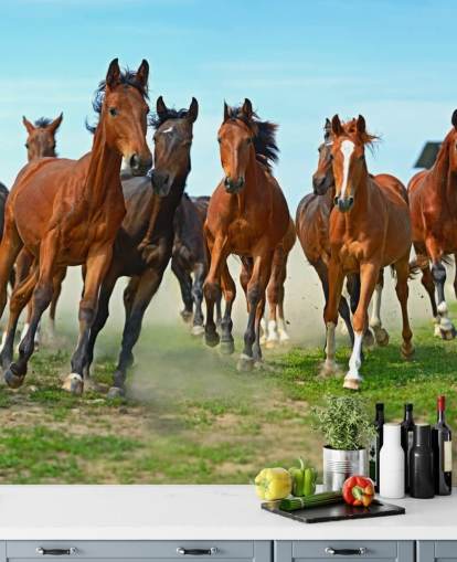 Brown Horses Running Together Mural