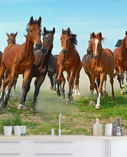Mural Caballos marrones corriendo juntos