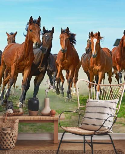 Brown Horses Running Together Mural