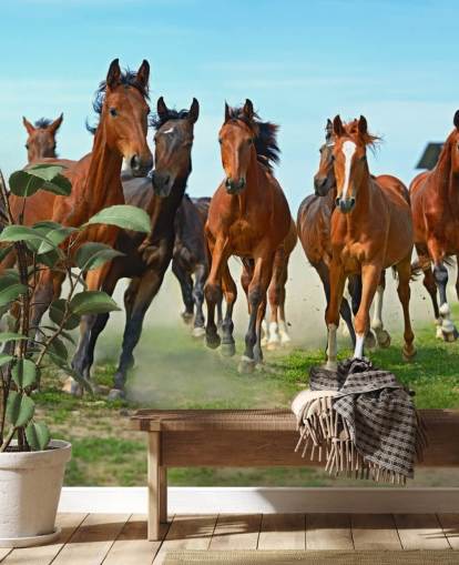 Brown Horses Running Together Mural