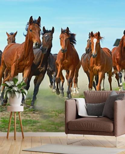 Brown Horses Running Together Mural