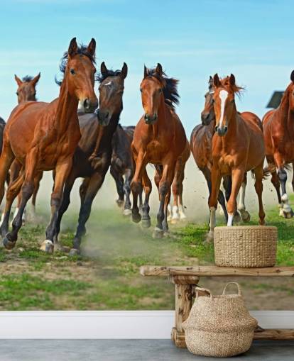 Mural Caballos marrones corriendo juntos