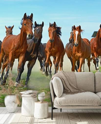 Brown Horses Running Together Mural