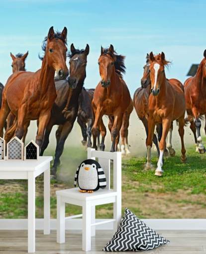 Brown Horses Running Together Mural