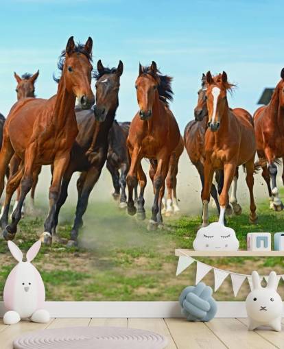 Brown Horses Running Together Mural Brown Horses Running Together Mural