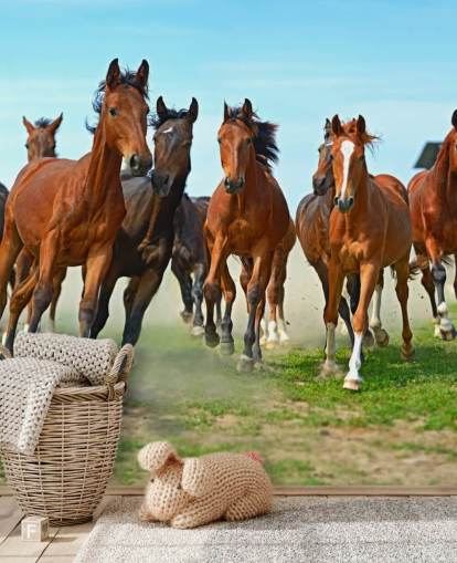 Bruine paarden rennen samen muurschildering