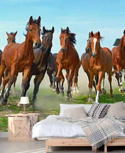 Brown Horses Running Together Mural