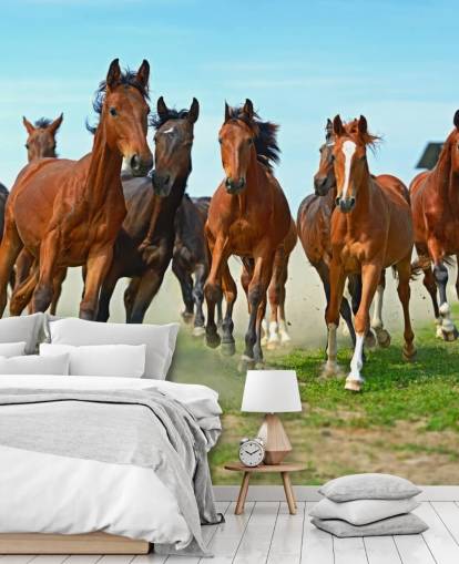 Brown Horses Running Together Mural