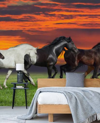 Horses Running Wallpaper Horses Running Wallpaper