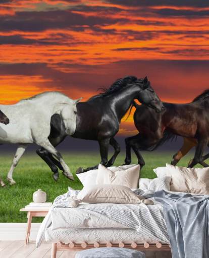 Fondo de pantalla de caballos Fondo de pantalla de caballos