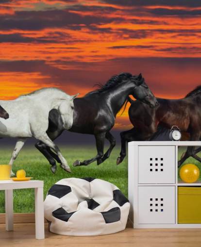 Cavalos Running Wallpaper