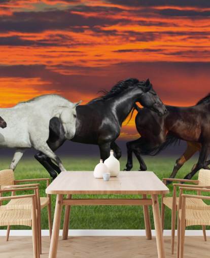 Fondo de pantalla de caballos