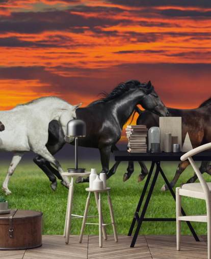 Fondo de pantalla de caballos