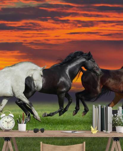 Fondo de pantalla de caballos