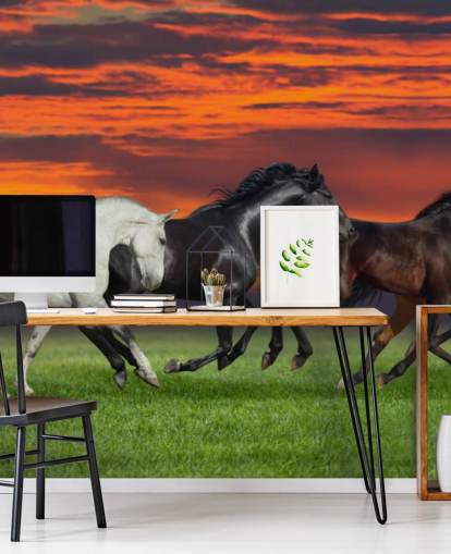 Fondo de pantalla de caballos