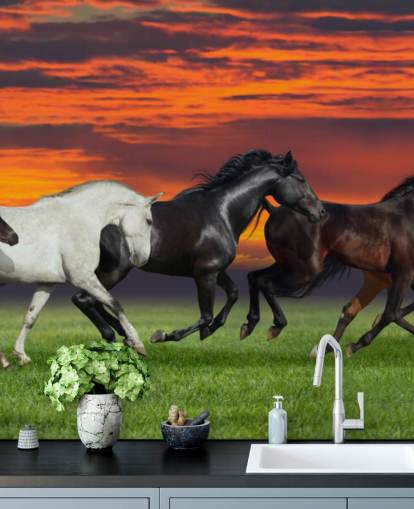 Fondo de pantalla de caballos Fondo de pantalla de caballos