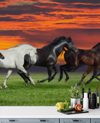 Fondo de pantalla de caballos