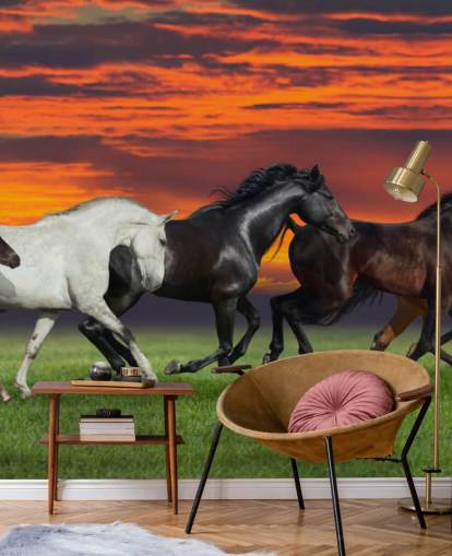 Fond d'écran Chevaux