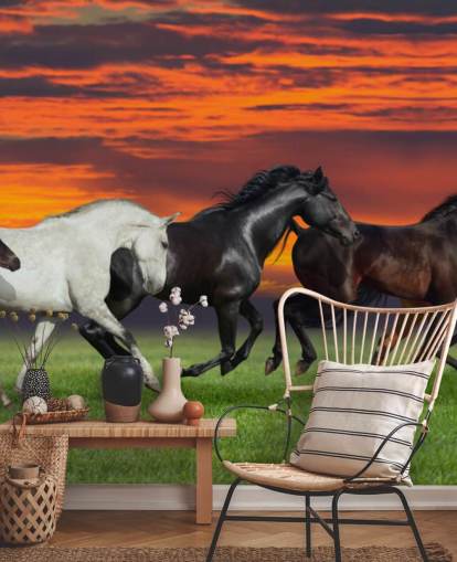 Fond d'écran Chevaux