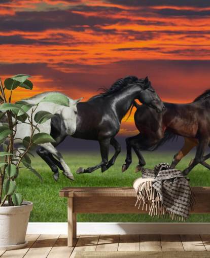 Fondo de pantalla de caballos