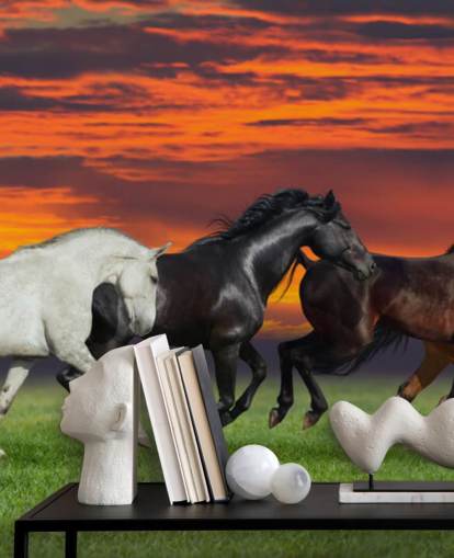 Fondo de pantalla de caballos