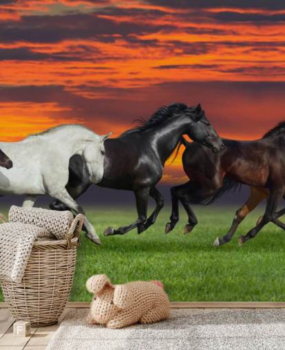 Fondo de pantalla de caballos Fondo de pantalla de caballos