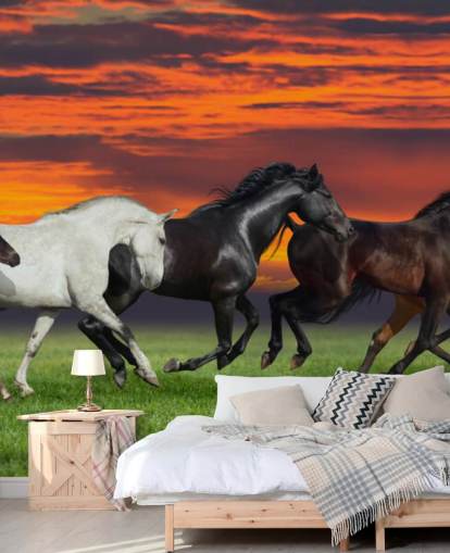 Fondo de pantalla de caballos