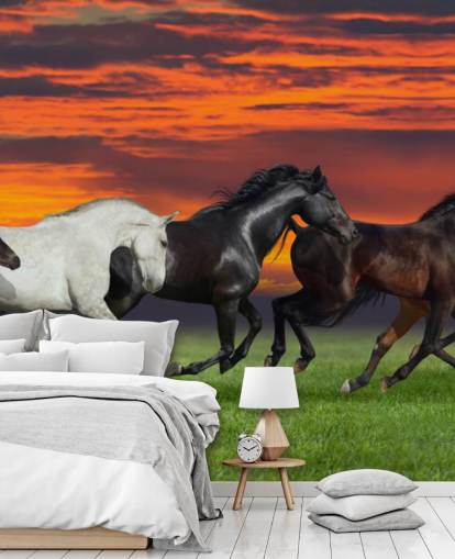 Fond d'écran Chevaux