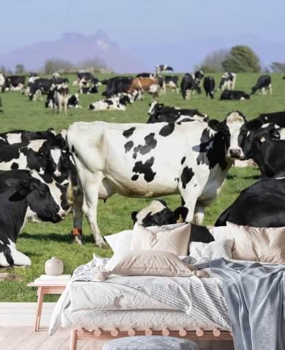 Mural de pared Vacas lecheras en un campo Mural de pared Vacas lecheras en un campo