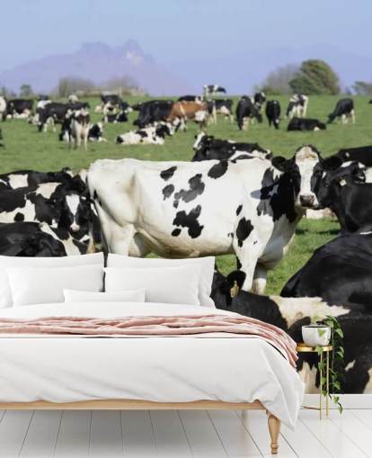 Mural de pared Vacas lecheras en un campo 