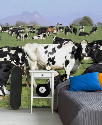 Décoration murale Vaches laitières dans un champ Décoration murale Vaches laitières dans un champ