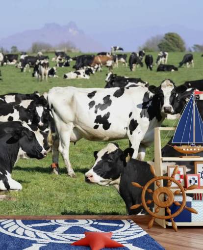 Dairy Cows in a Field Wall Mural Dairy Cows in a Field Wall Mural