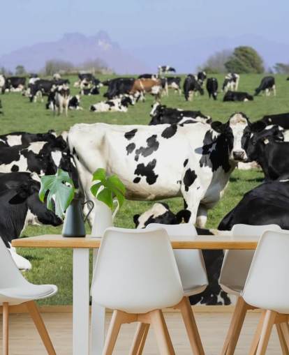 Melkkoeien in een veldmuurschildering 