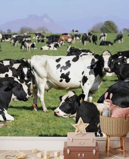 Decorazione murale con mucche da latte in un campo 