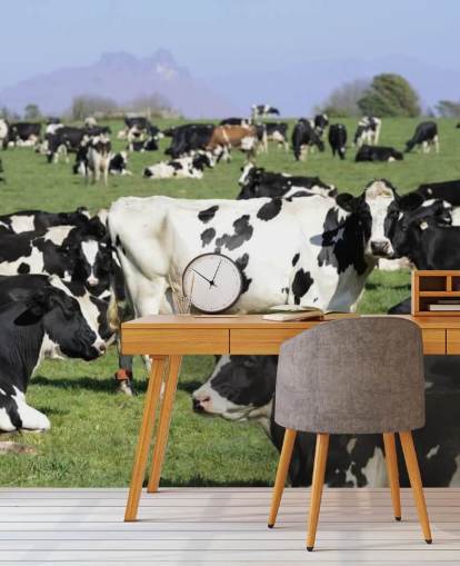 Mural de pared Vacas lecheras en un campo 