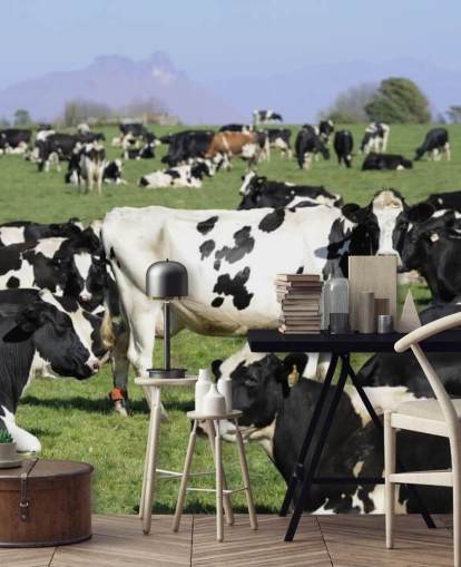 Mural de pared Vacas lecheras en un campo 