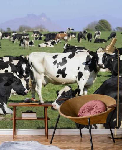 Mural de pared Vacas lecheras en un campo 