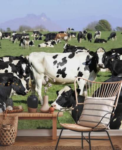 Vacas leiteiras em um mural de parede de campo 