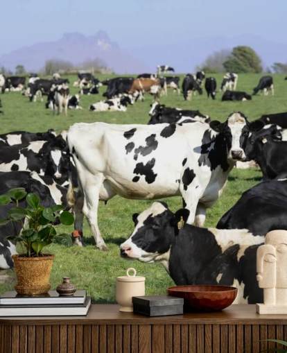 Vacas leiteiras em um mural de parede de campo 