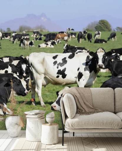 Mural de pared Vacas lecheras en un campo 