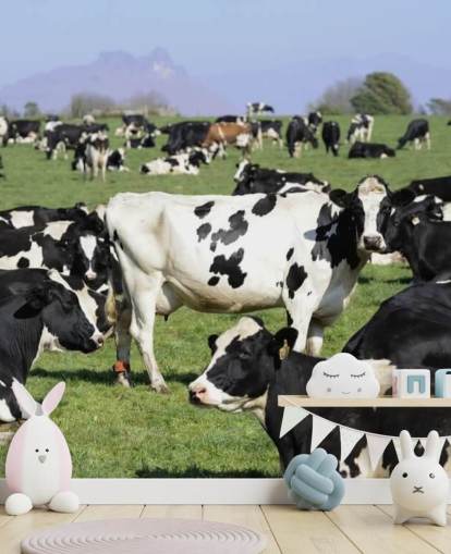 Vacas leiteiras em um mural de parede de campo 