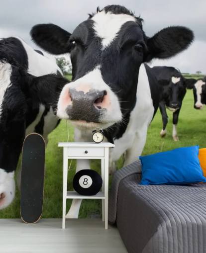 Close Up of Cows Wallpaper