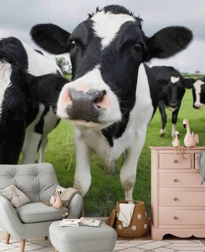 Close Up of Cows Wallpaper