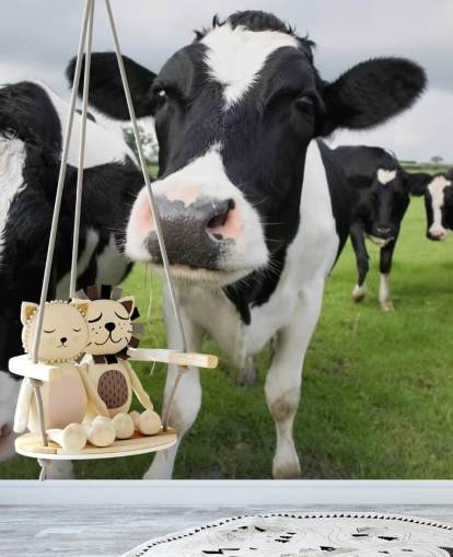 Carta da parati Close Up di mucche Carta da parati Close Up di mucche