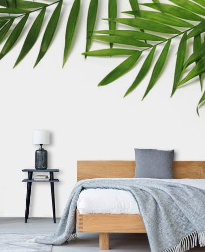 palmbladeren hangen over wit behang