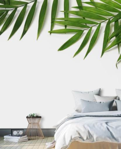 palmbladeren hangen over wit behang