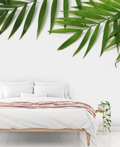 palm leaves hanging over white wallpaper