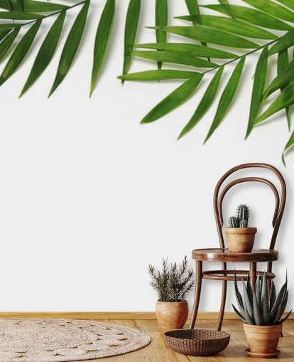 palm leaves hanging over white wallpaper
